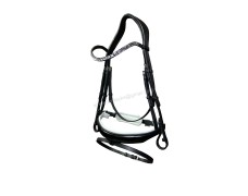 Leather Bridle 